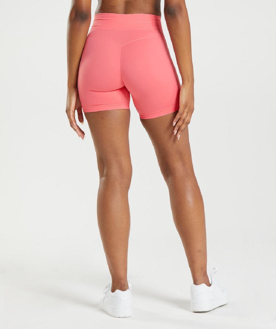 Pantalones Cortos Gymshark Whitney Mesh Mujer Rosas | CO 2772KOR